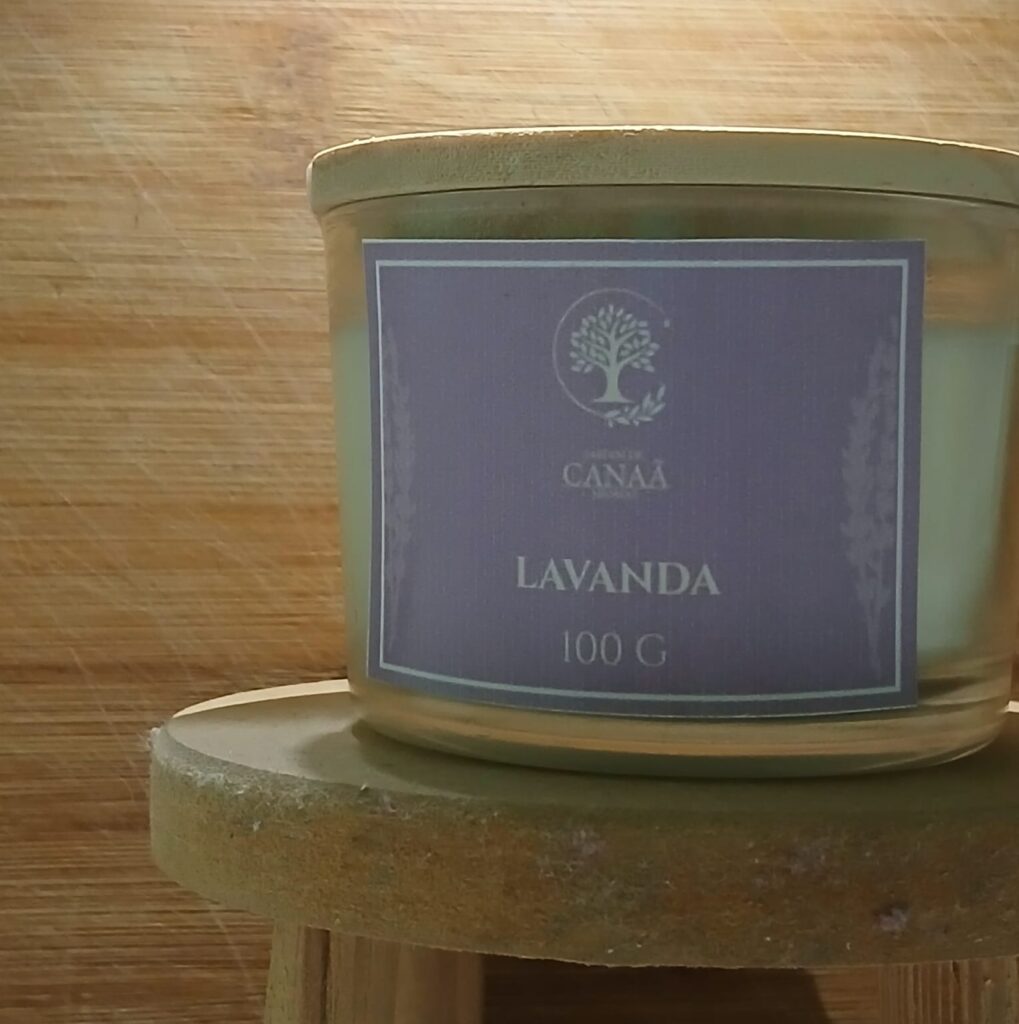 Vela Aromática Lavanda (100g)